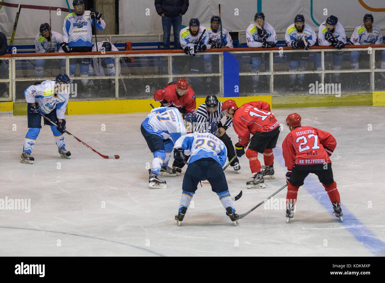 Novi Sad, Serbien. Oktober 2017. Spiel der International Hockey League (IHL) zwischen dem Heimtrainer HC Vojvodina Novi Sad und dem Auswärtsspieler HK Triglav Kranj. Quelle: Hardtodigit/Alamy Live News Stockfoto