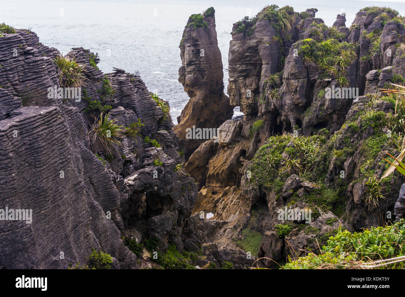 Pancake Rocks, punakaiki, West Coast • Neuseeland die 30 Millionen Jahre alten Kalksteinformationen, die aussehen wie ein, wenn Pan Stockfoto