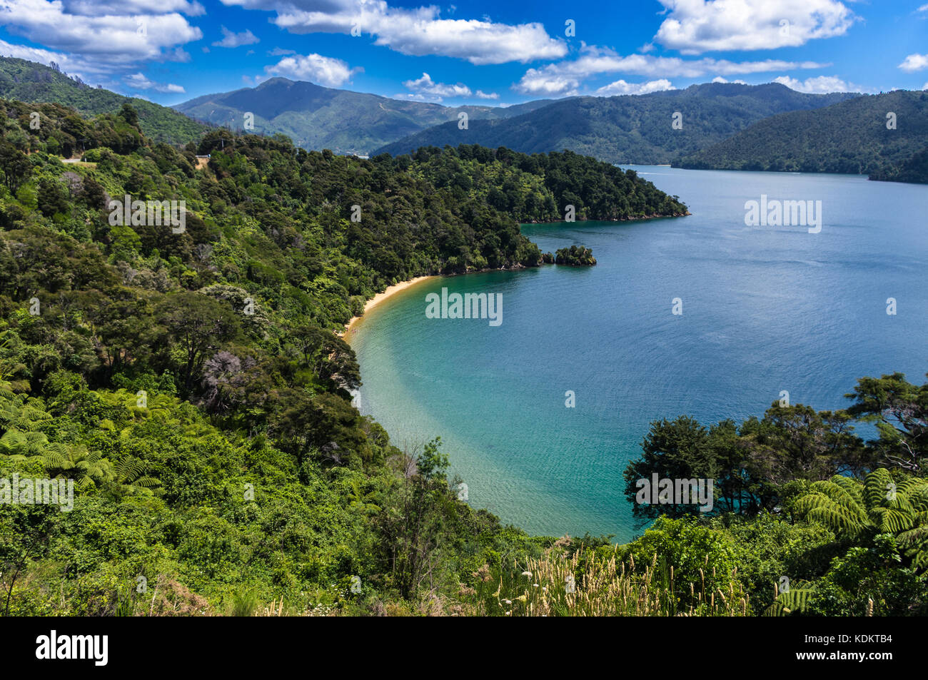 Whenuanui Bay, Marlborough • Neuseeland becks Bay, die Māori-Name dieses Ortes ist whenuanui und bedeutet "Große pla Stockfoto