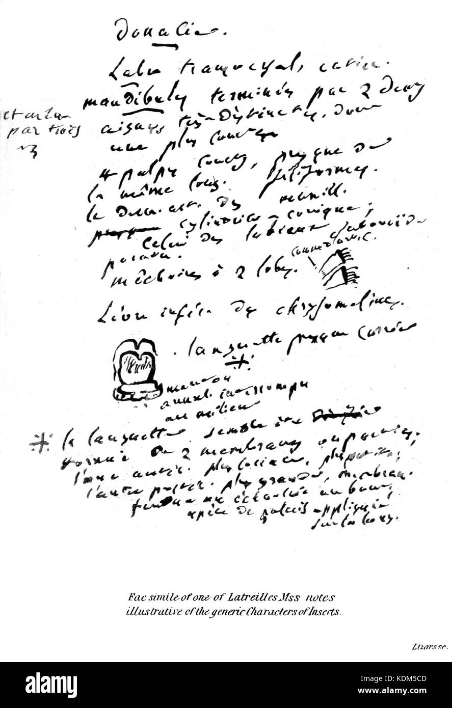 Jardine's Naturforscher Bibliothek exotische Falter Fac simile seiner handschriftlichen Aufzeichnungen Stockfoto