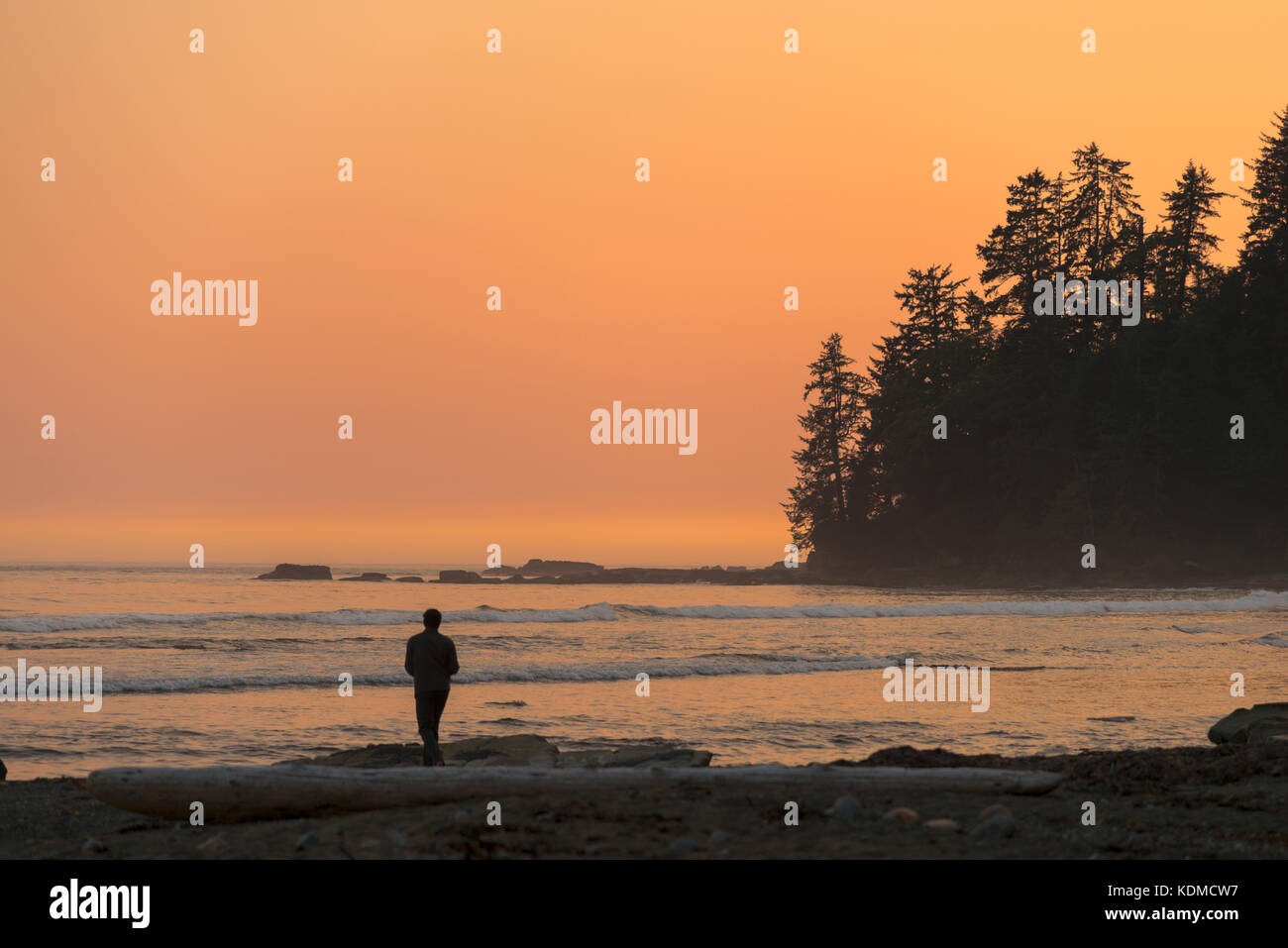 Wald Feuer Rauch in der Luft bei Sonnenuntergang an der Michigan Creek auf dem West Coast Trail im Pacific Rim National Park Stockfoto