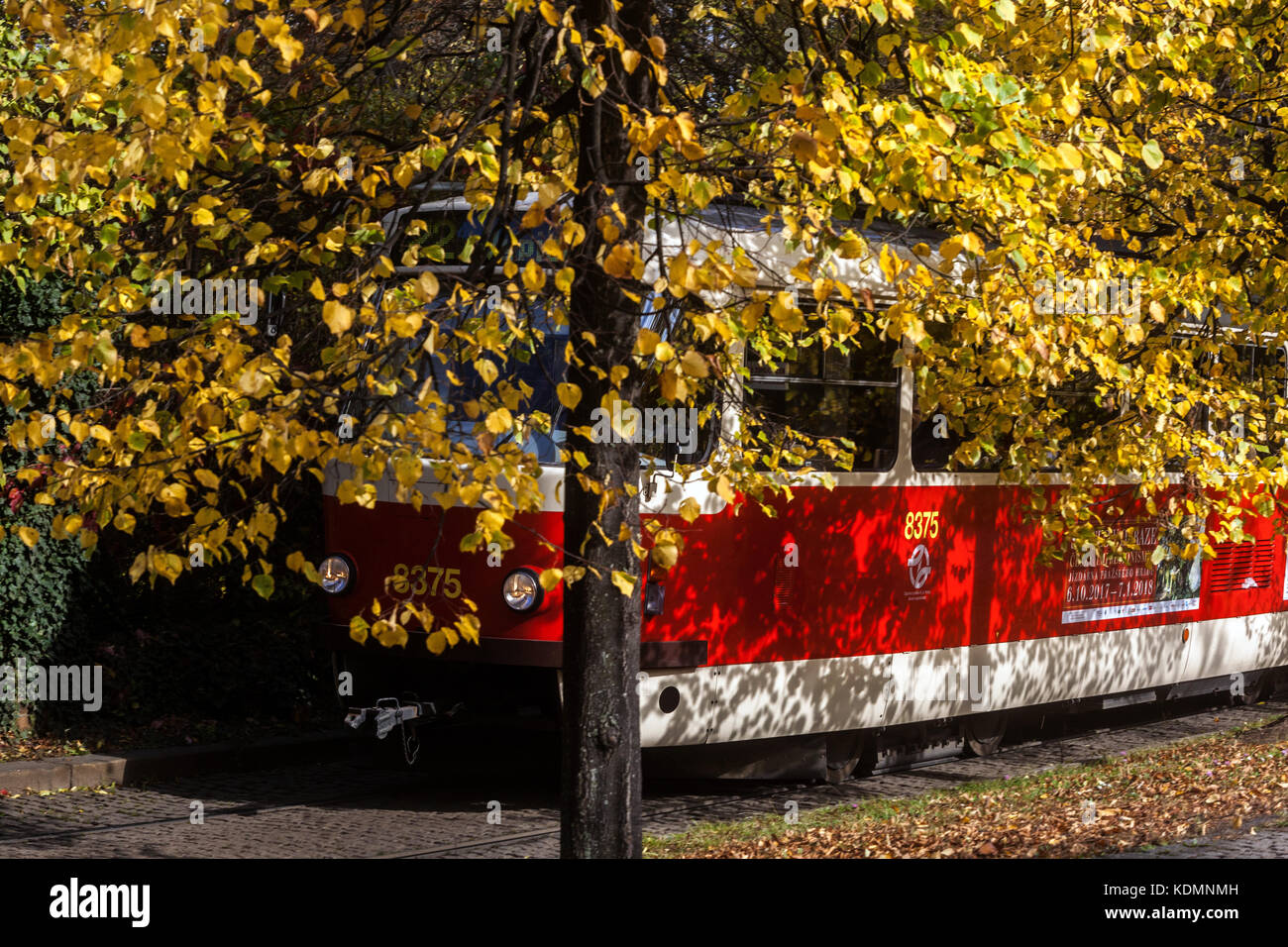 Prager Straßenbahn Linie 22, Herbstlinde Prager Laubbaum Linden Stockfoto