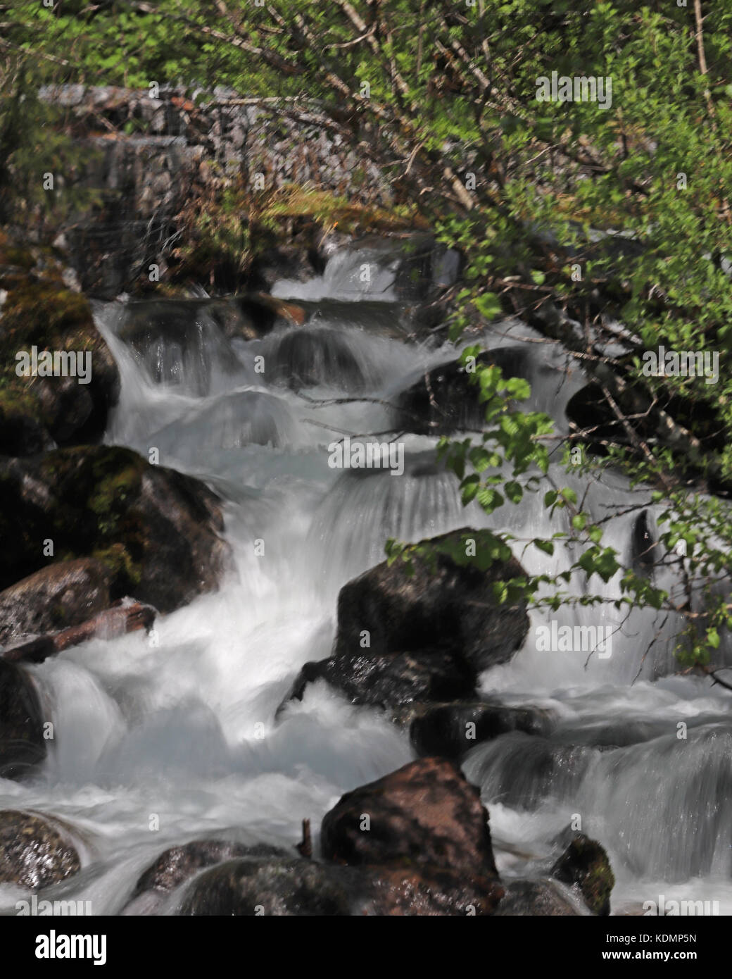 Viele fotografische Möglichkeiten beim Wandern durch Mendenhall Gletscher naherholungsgebiet wie diese kleinen Wasserfall. Stockfoto