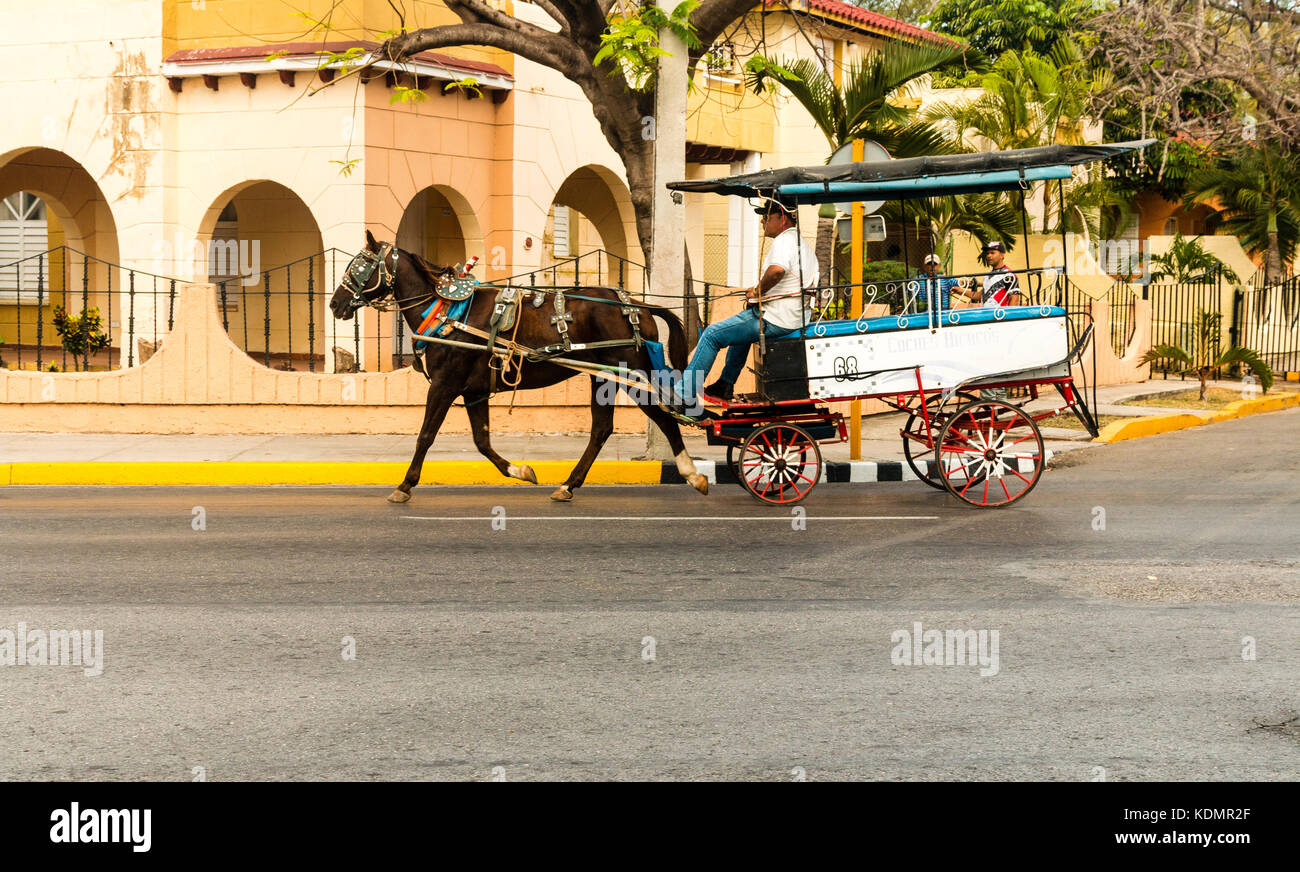 Lokale Cowboy auf einem Pferd und Wagen vor dem Hotel Los Delfines, Varadero, Matanzas, Cuba, Karibik Stockfoto