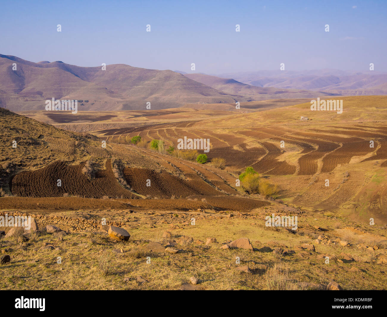 Dramatische und wunderschöne Berglandschaft mit terrassed Felder im Frühling, Lesotho, Südafrika Stockfoto