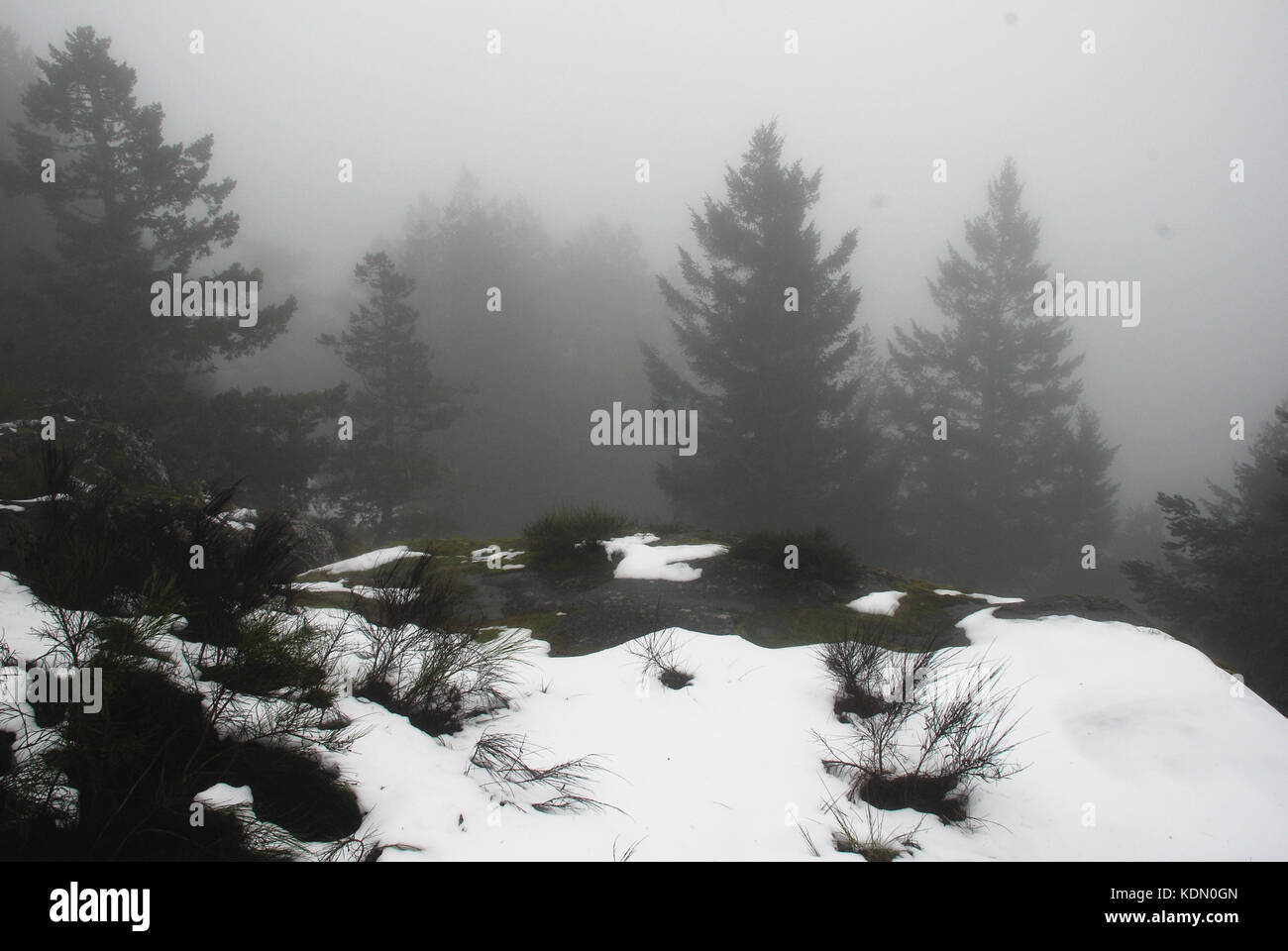 Nebel hüllt Mt. Manuel Quimper auf der südlichen Insel Vancouver, Kanada Stockfoto