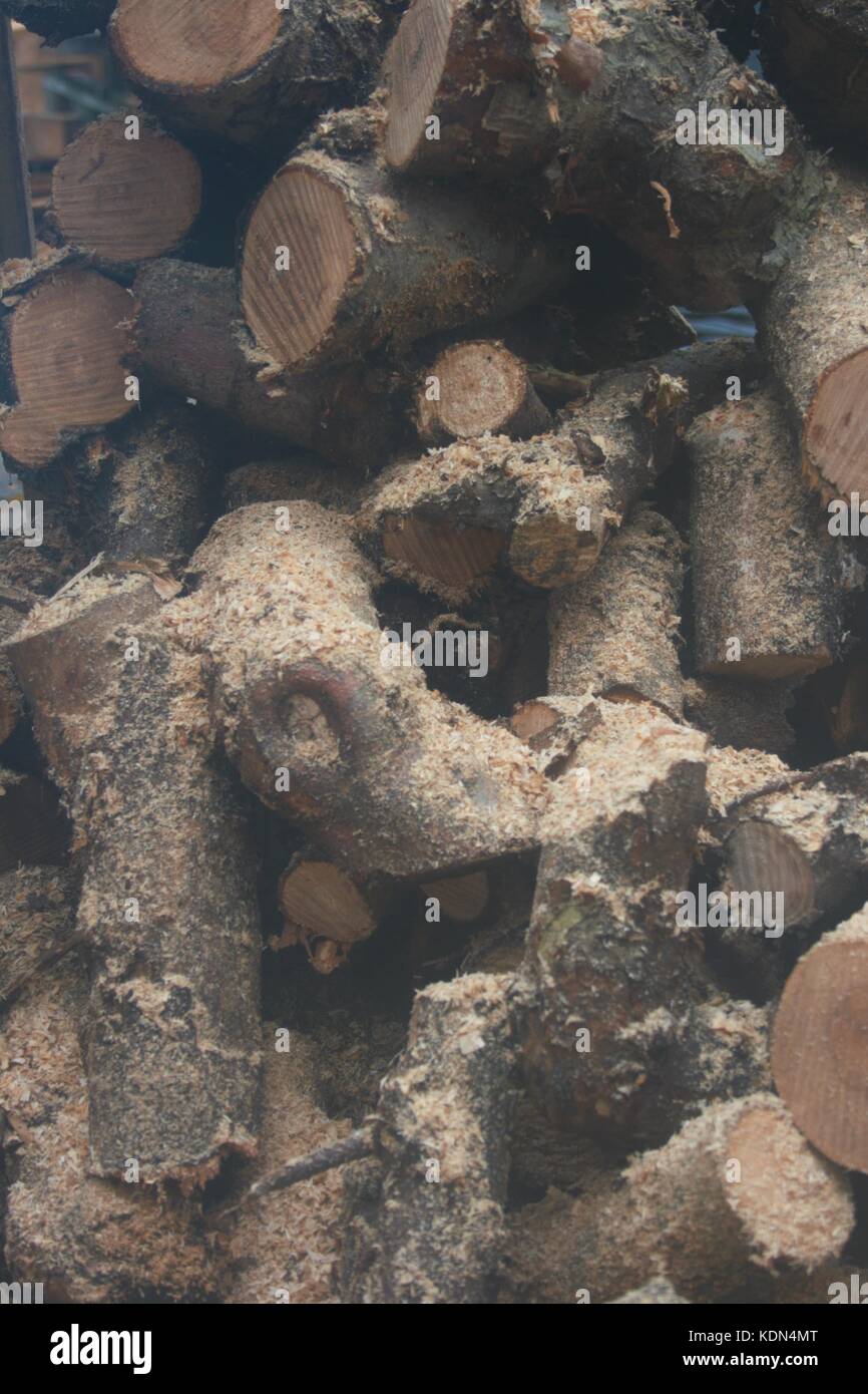 Frisch geschnittenen Stöcke in Sägemehl auf einem Bauernhof in co Armagh, Nordirland Stockfoto