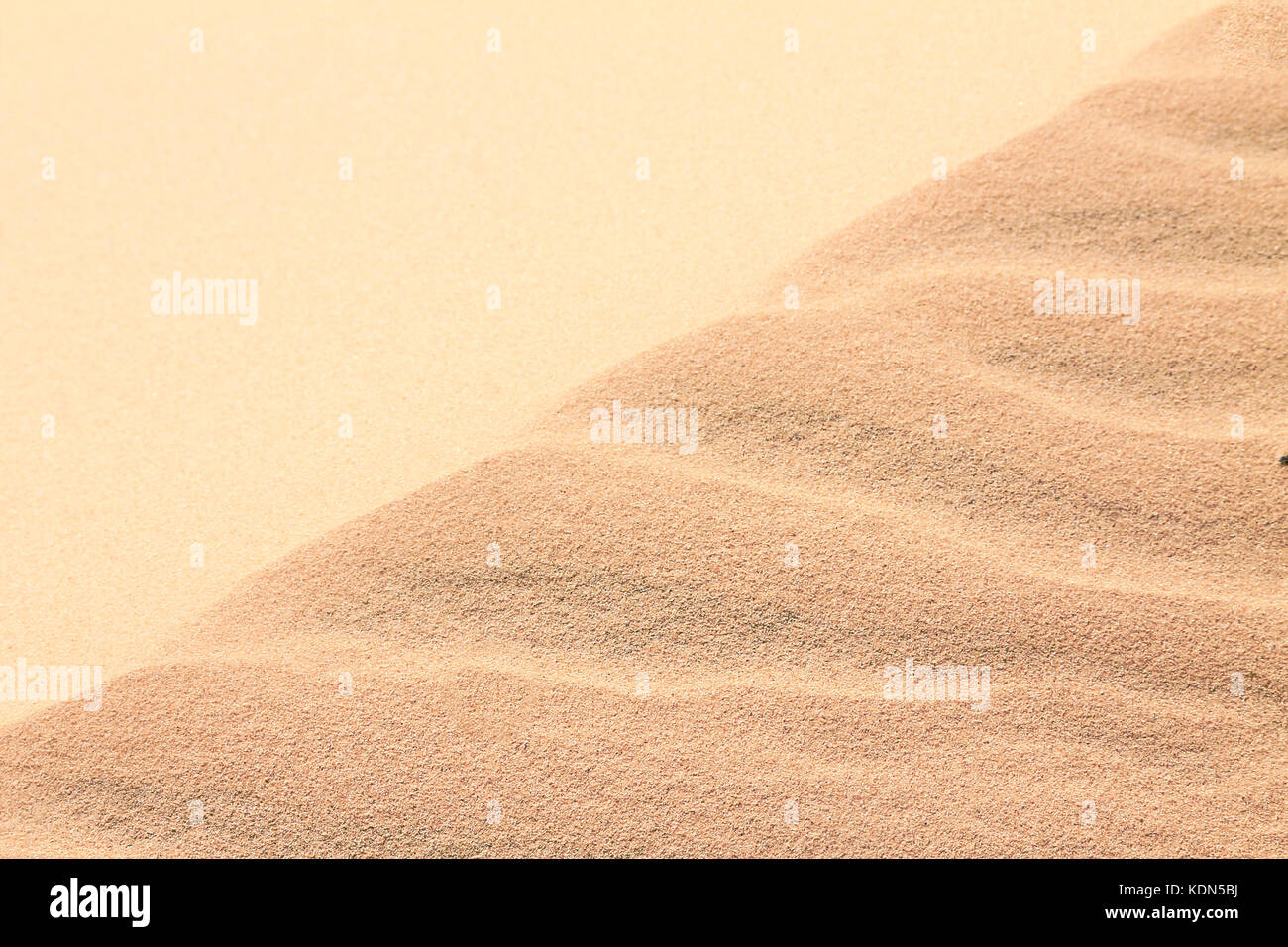 Muster in den Sand Dünen, die durch den Wind Bewegungen gemacht Stockfoto