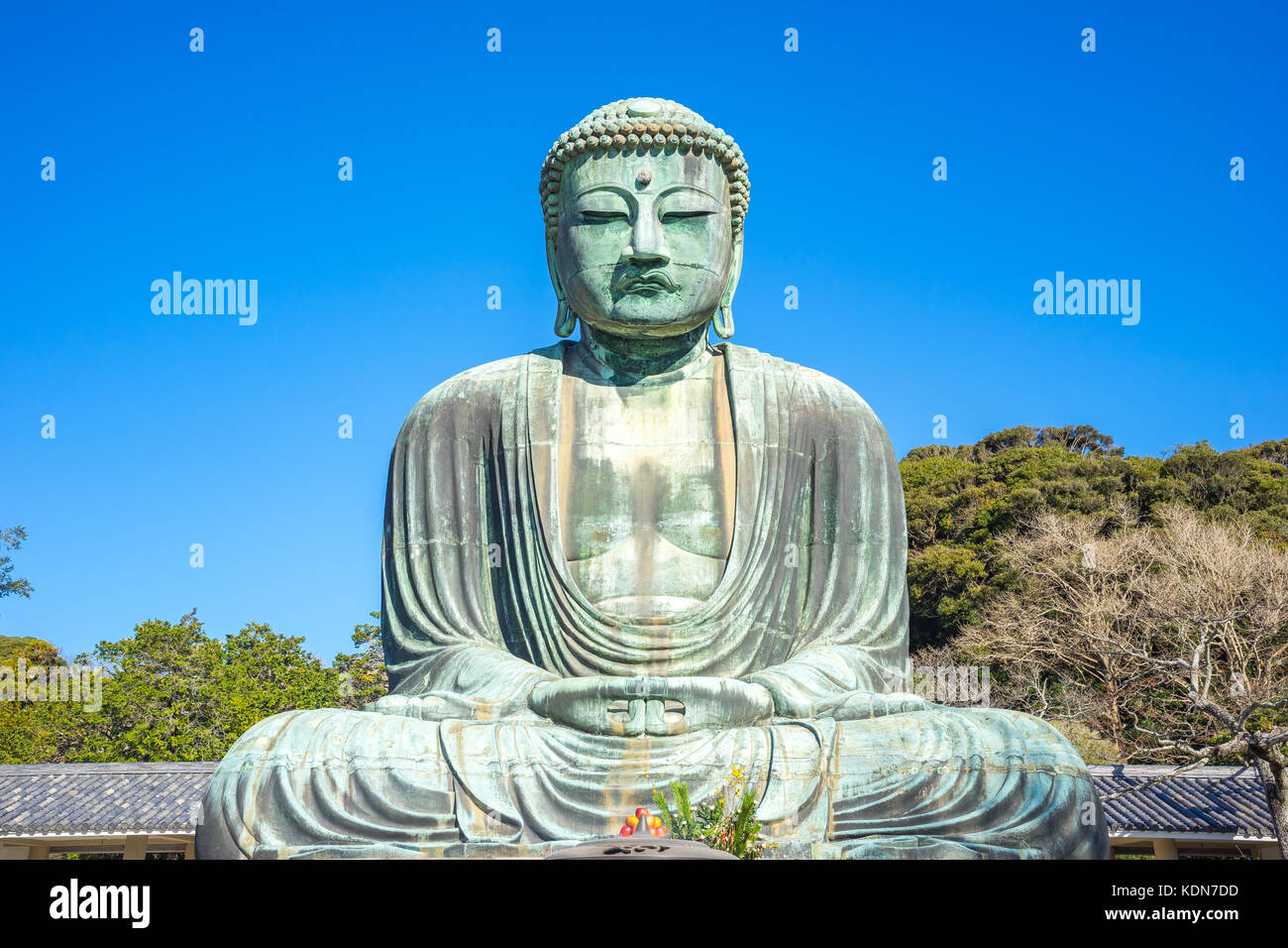 Daibutsu der grosse Buddha von Kamakura, kotokuin Tempel in der Präfektur Kanagawa, Japan