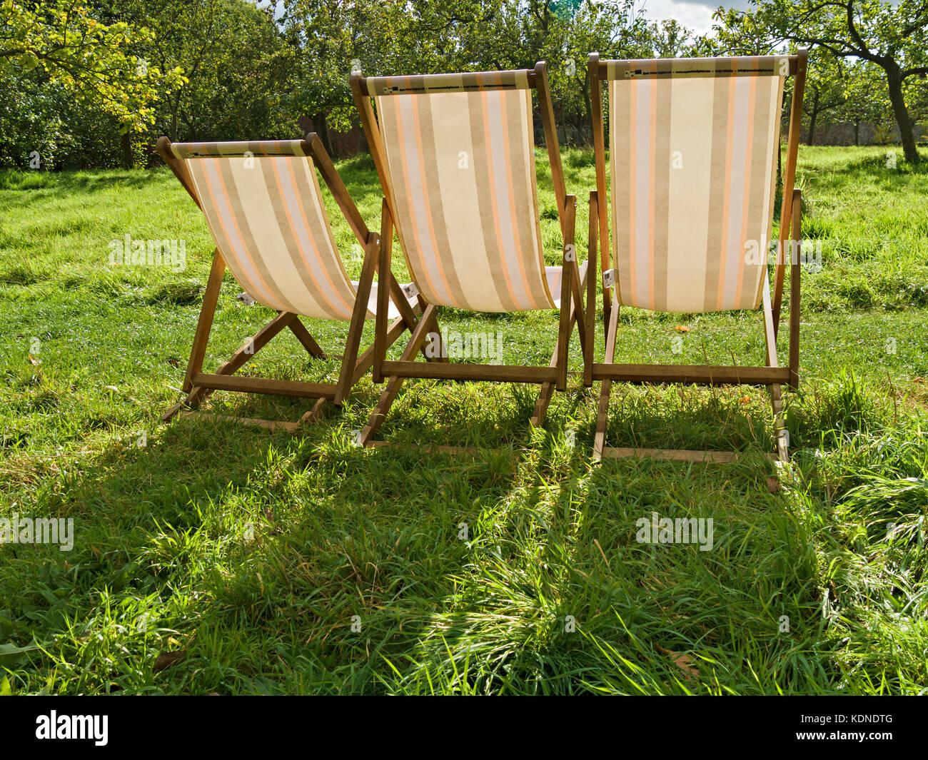 Drei hintergrundbeleuchtete sonnenbeschienenen aus Holz und Leinwand Liegestühle mit langen Schatten auf der grünen Wiese Rasen im Garten, Sommer, Großbritannien Stockfoto