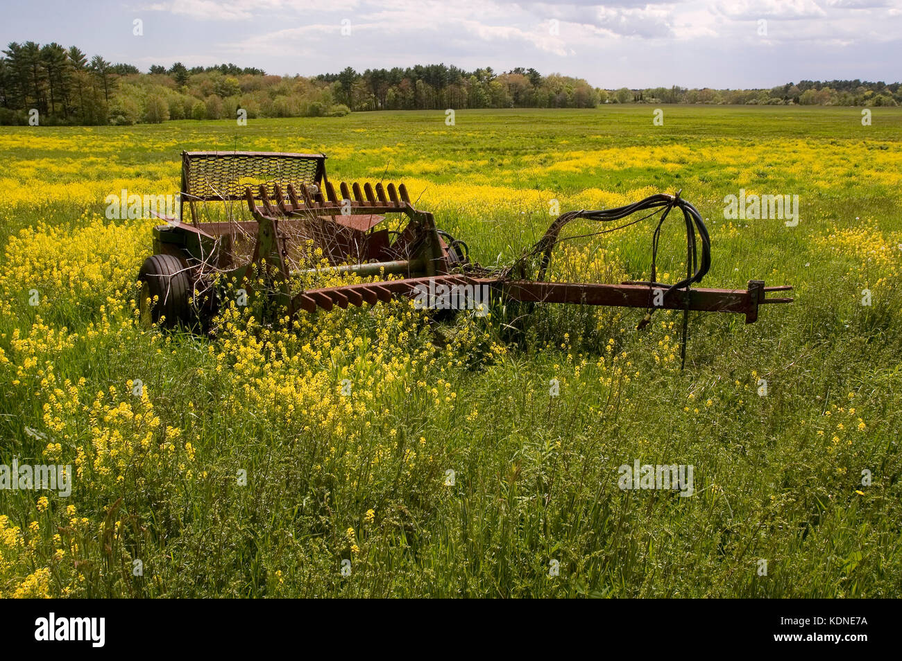 Eine verlassene Farm in einem Feld in Middleboro, Massachusetts, USA Stockfoto