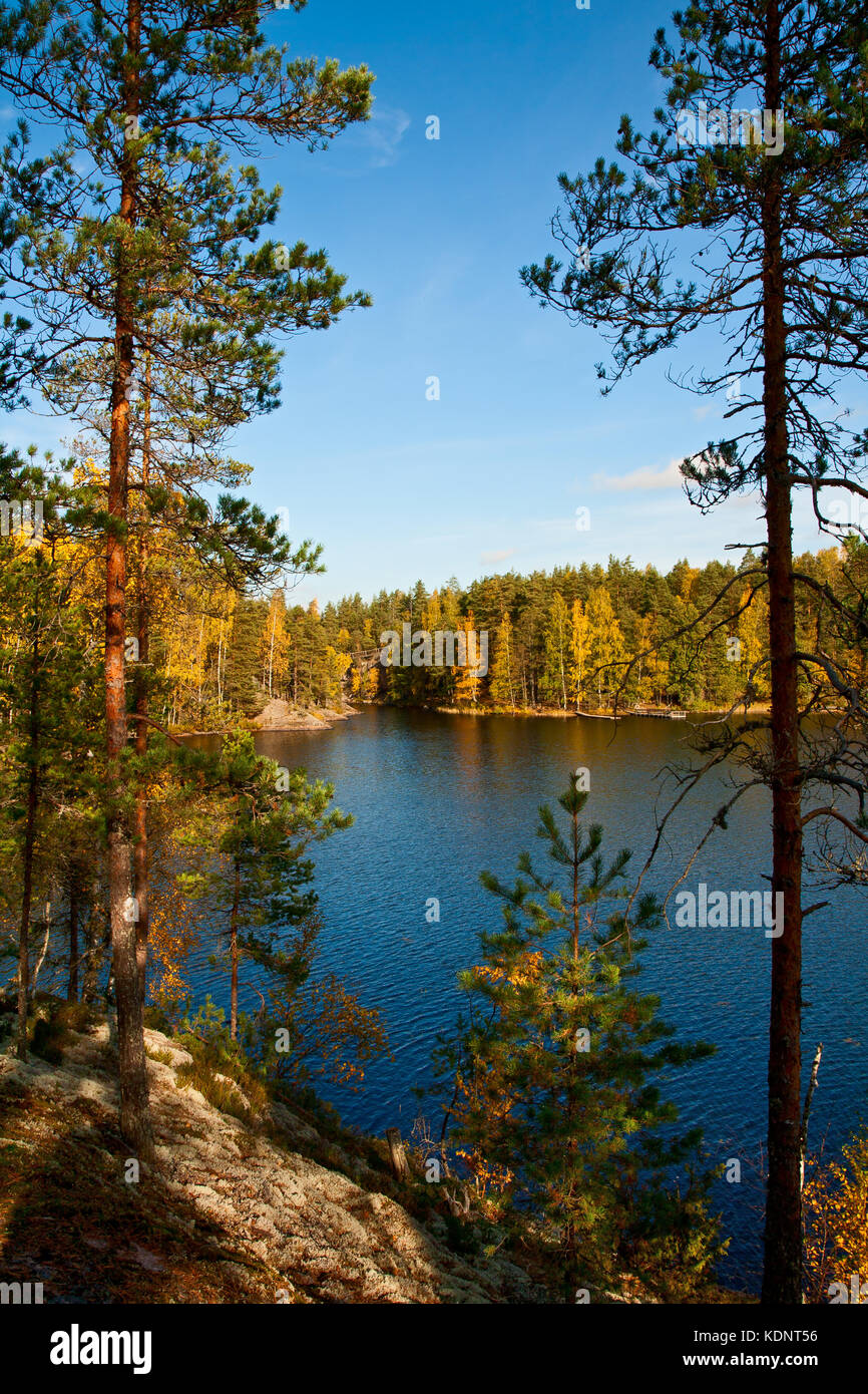 Herbst im Süden repovesi (Finnland, Karelien) Stockfoto