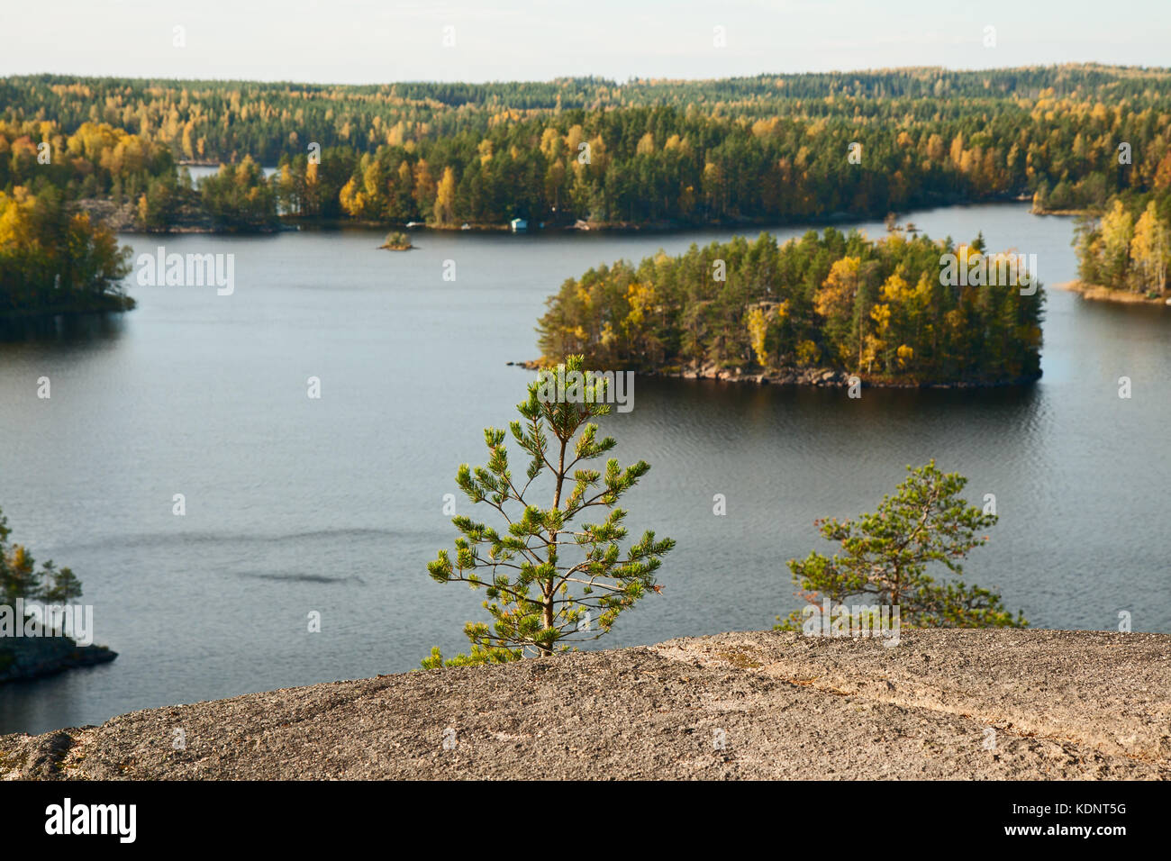 Herbst Landschaft im Süden repovesi (Finnland, Karelien) Stockfoto