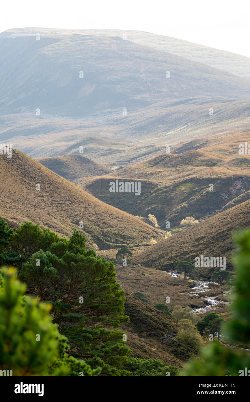 Herbst die Sonne über die Berge und Lairig Ghru Pass, der durch die Rothiemurchus Estate Pässe, Cairngorms National Park, Schottland Stockfoto