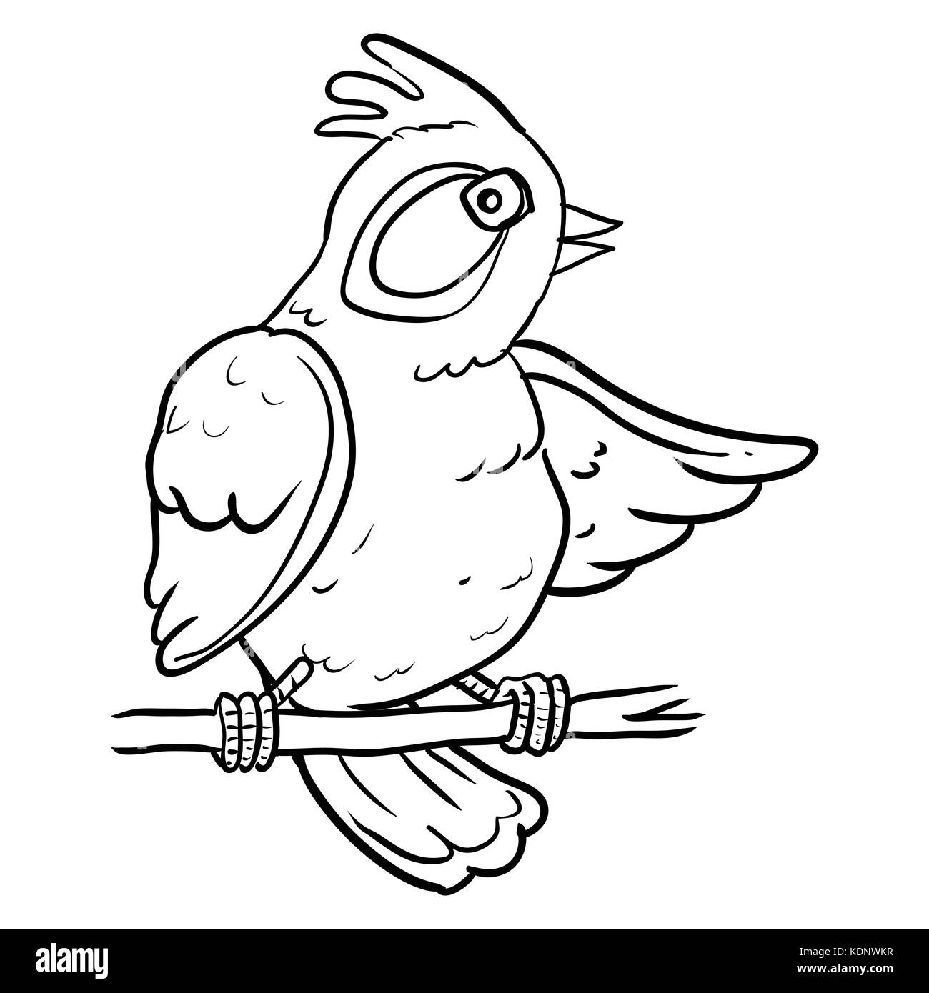 Hand Zeichnung von Cartoon Vogel auf Zweig Baum, Skizze Design für Malbuch. Vector Illustration. Vector Illustration Stock Vektor
