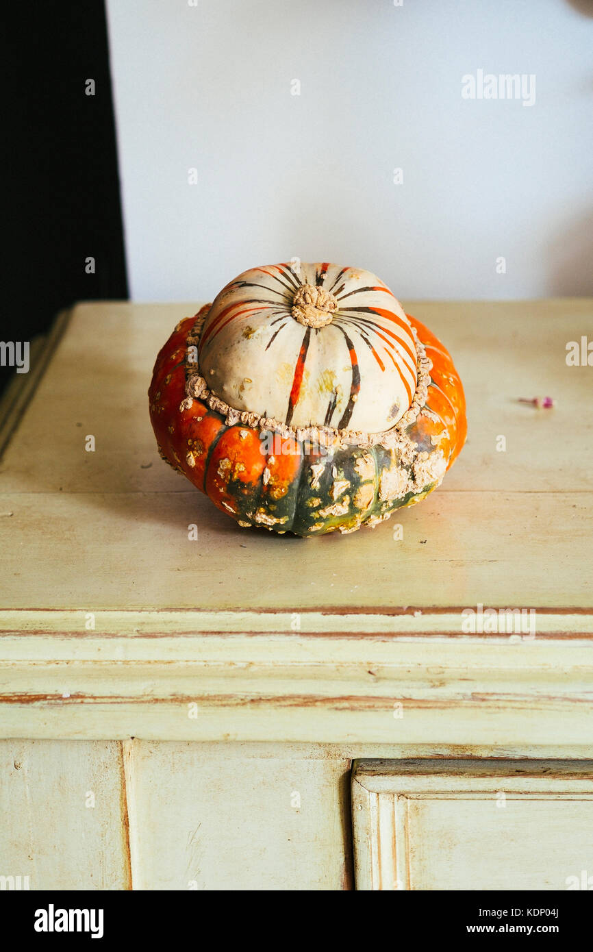 Bunte Kürbis Stockfoto