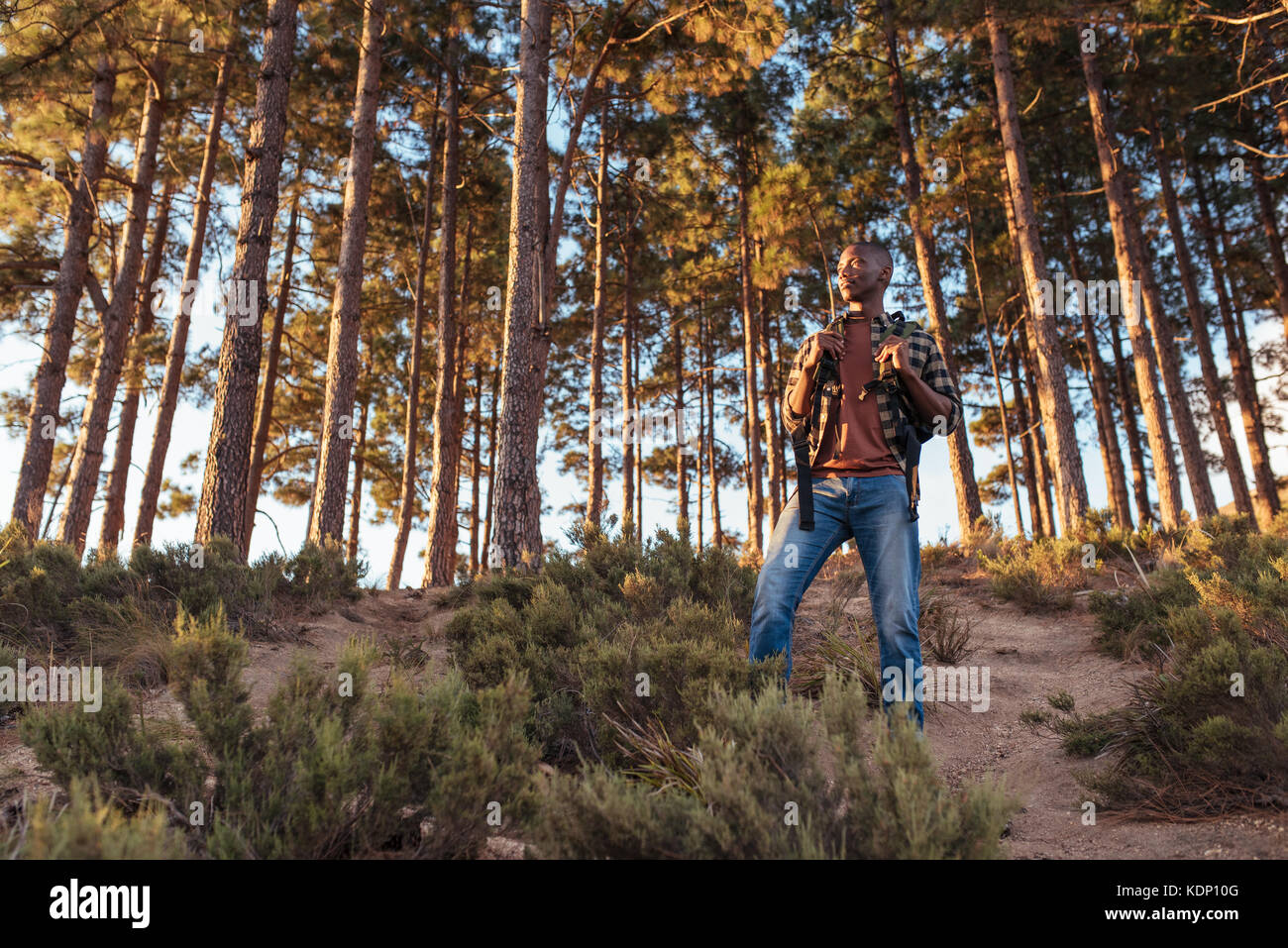 Junge afrikanische Mann stand auf einem Trail im Wald Stockfoto