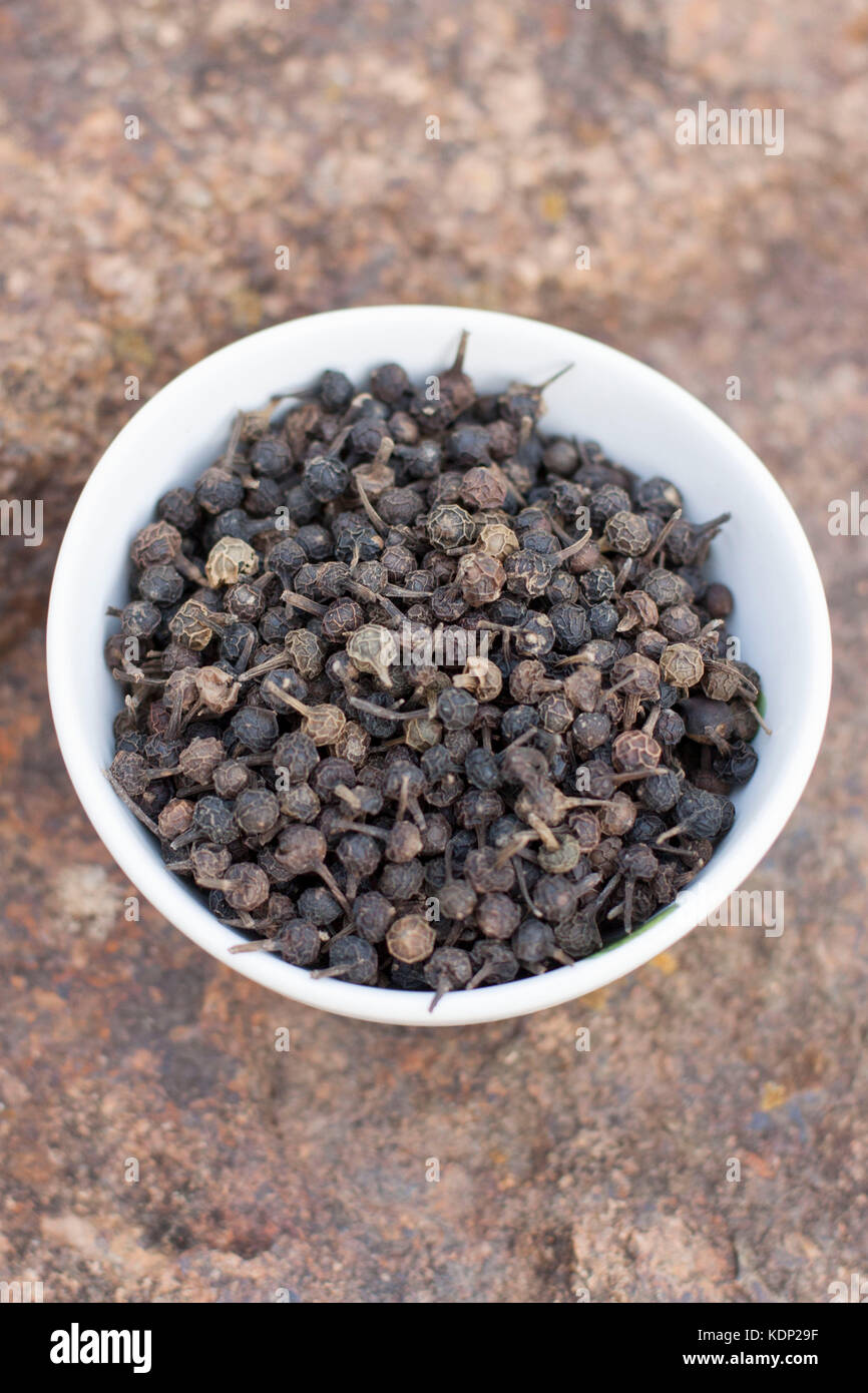 Cubeb Pfeffer auf weiße Schüssel Stockfoto