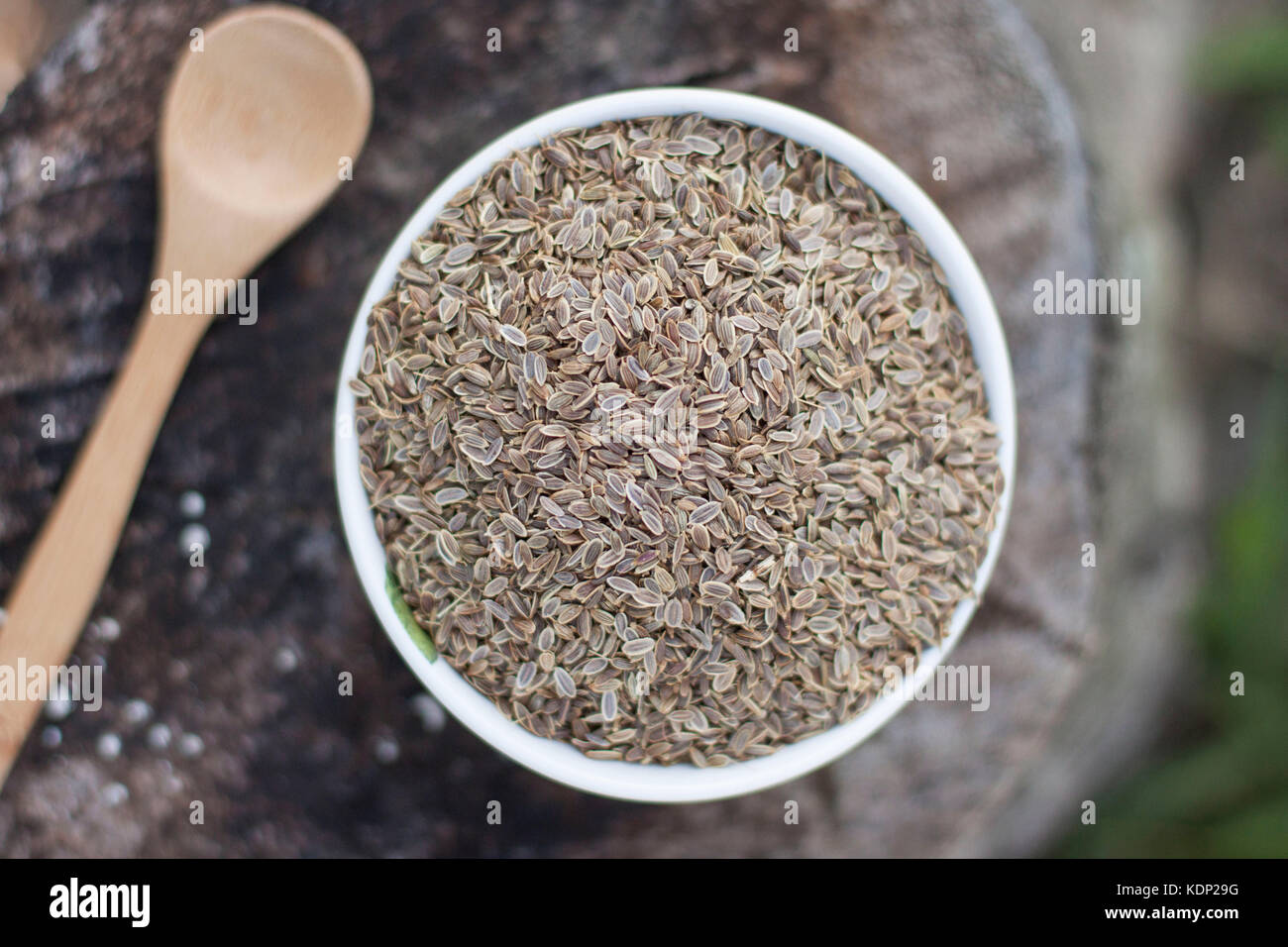 Dill Samen in Weiß Schüssel über Stein mit Holzlöffel Stockfoto