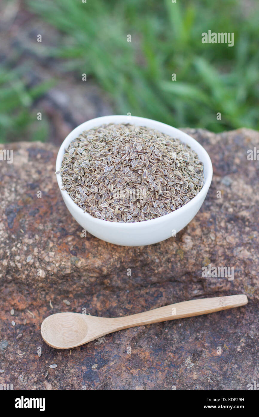 Dill Samen in Weiß Schüssel über Stein mit Holzlöffel Stockfoto