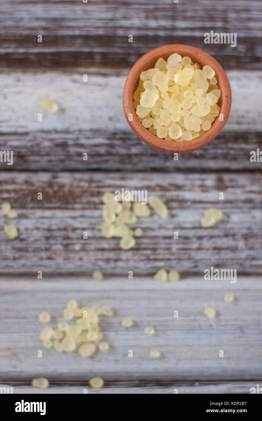 Mastixbaum auf Lehm Schüssel über rustikal Hintergrund Stockfoto