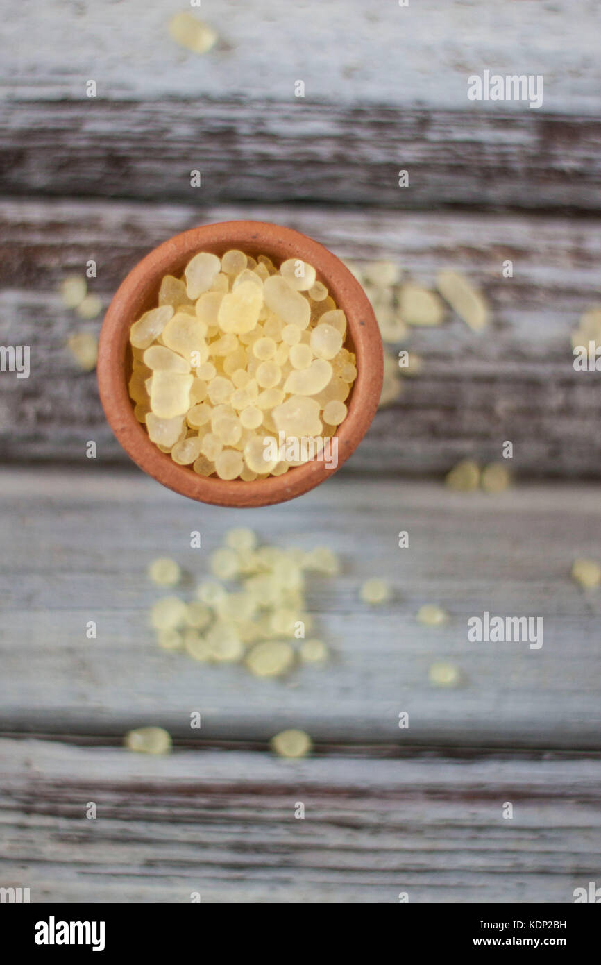 Mastixbaum auf Lehm Schüssel über rustikal Hintergrund Stockfoto
