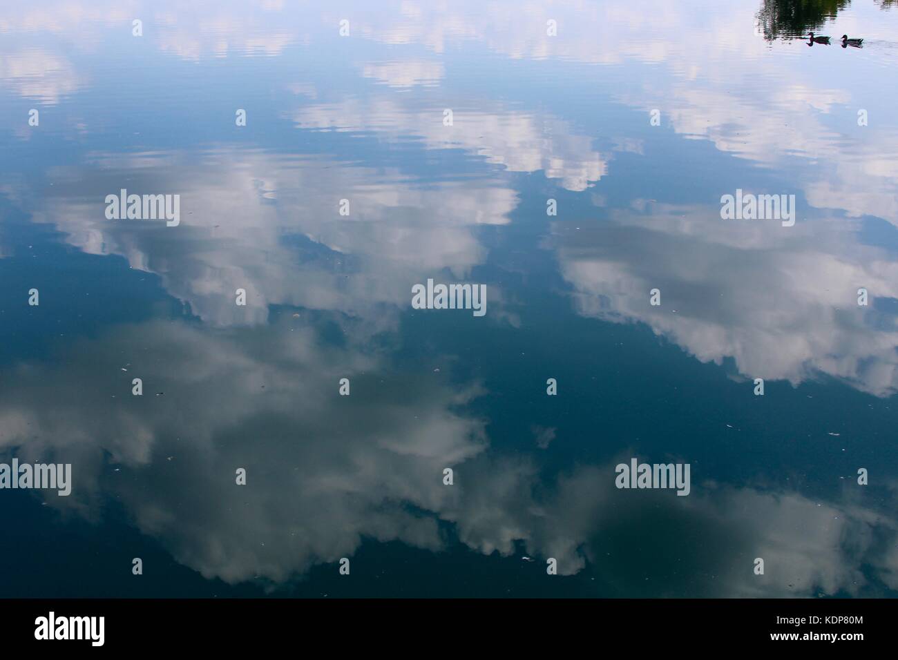 Das Ende des Sommers und die Farben des Herbstes beginnen sich zu zeigen. Stockfoto