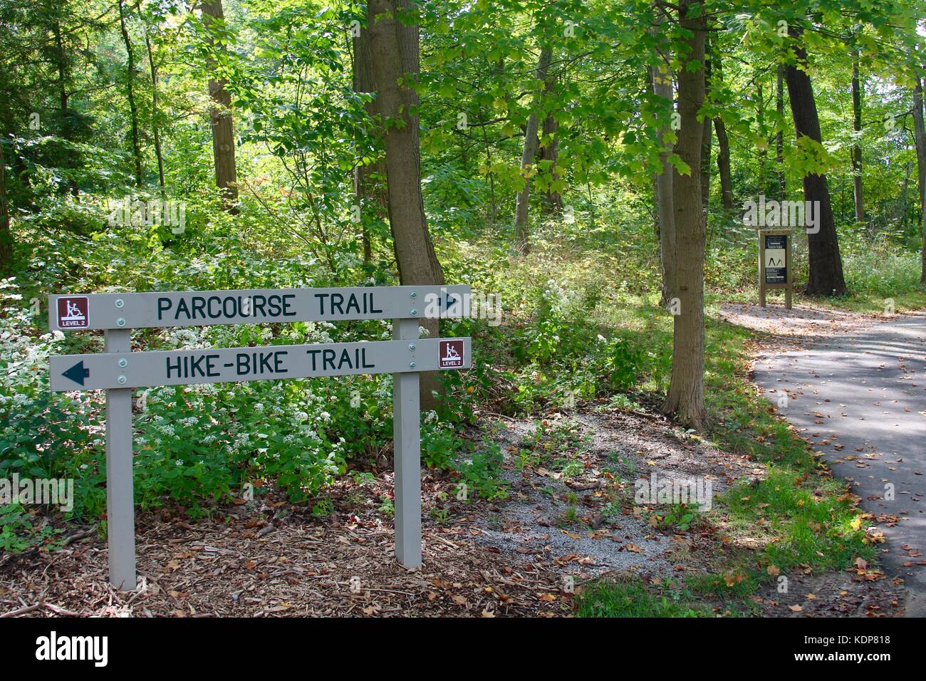 Das Ende des Sommers und die Farben des Herbstes beginnen sich zu zeigen. Stockfoto