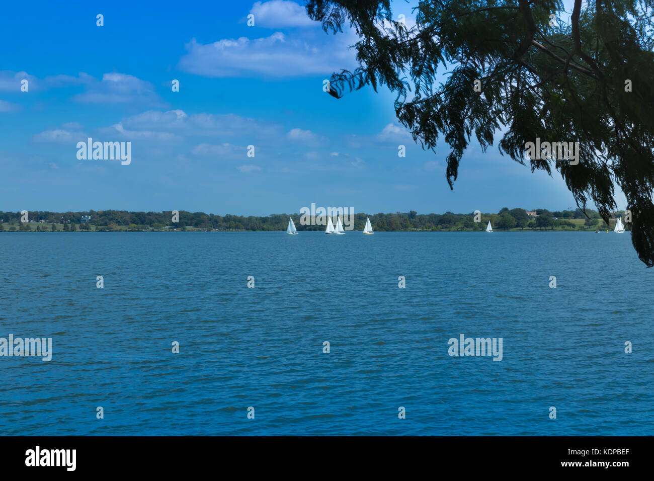 Segelboot Regatta in der Entfernung vom Ufer des White Rock Lake an einem sonnigen Nachmittag Stockfoto