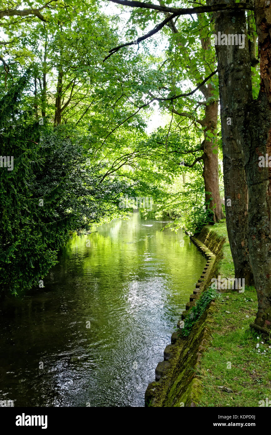 Der Fluss Avon in Salisbury, Wiltshire, zwischen Bridge Street & Crane Street Stockfoto