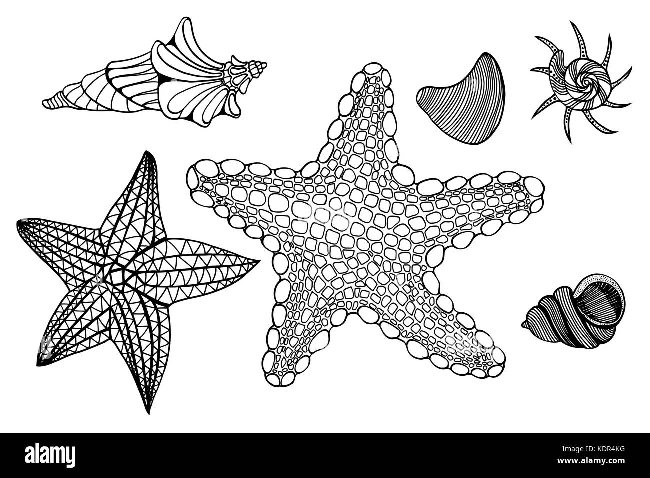 Satz von monochromen Schalen und Stern. Hand gezeichnet Vector Illustration Stock Vektor