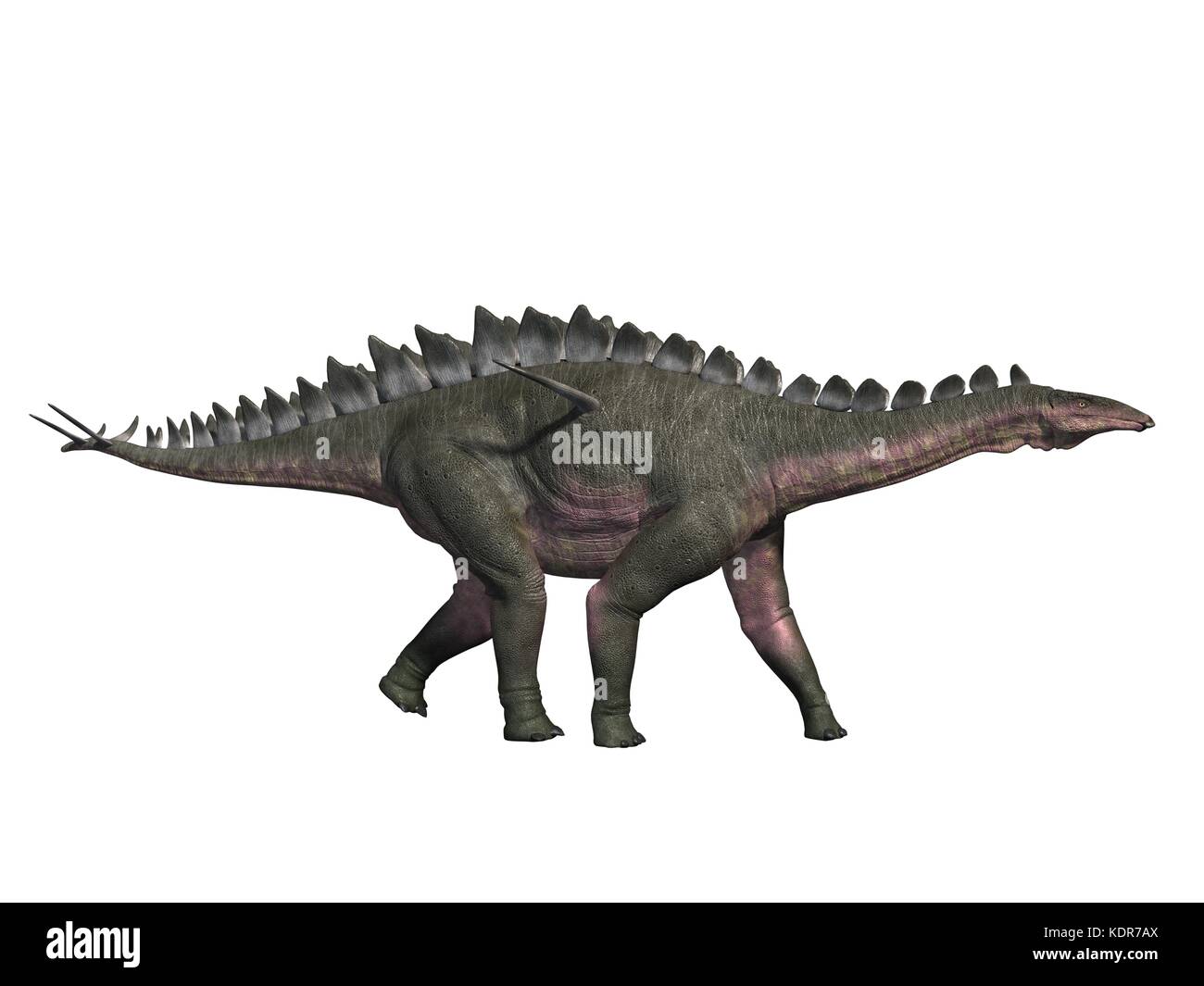 Dinosaurier 3D-Rendering Stockfoto
