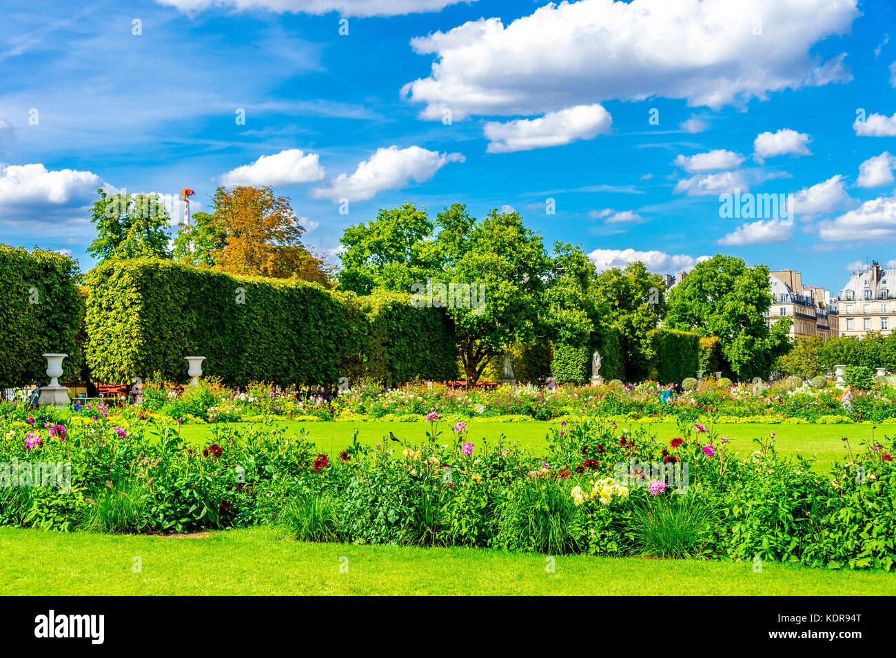 Tuileries Garden an einem schönen sonnigen Sommertag Stockfoto