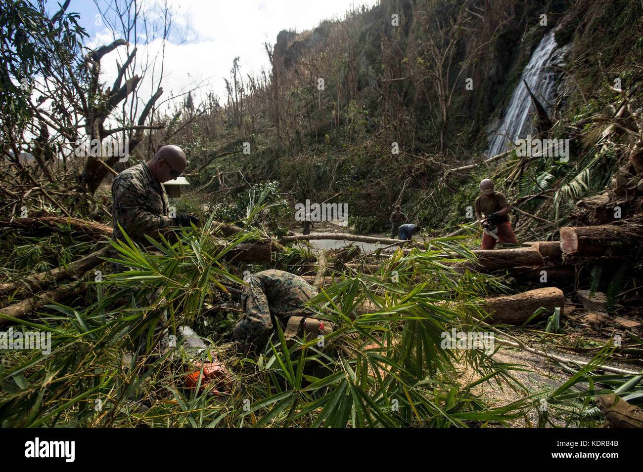 US-Marines und US-Navy-Seeleute befreien gefallene Bäume von der Straße während der Hilfsbemühungen nach dem Hurrikan Maria vom 25. September 2017 in Ceiba, Puerto Rico. Stockfoto