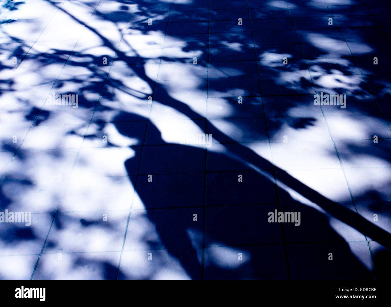 Verschwommene Schatten eines Menschen und ein Baum auf der Straße in der Nacht Stockfoto
