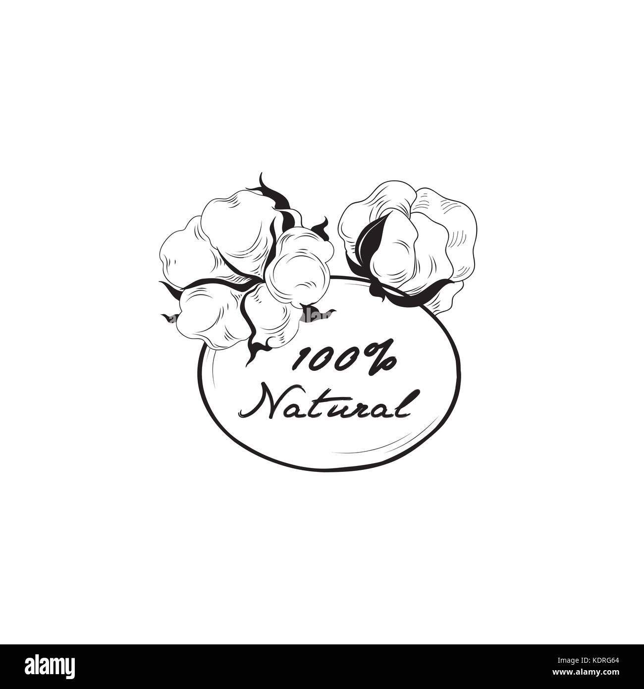 Baumwolle label. natürliches Material mit Baumwolle Blume Boll. Floral frame Stock Vektor