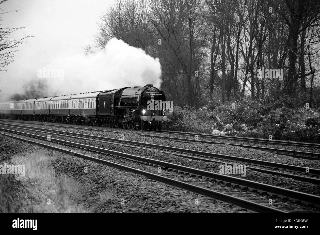 60163 'Tornado' (auf seinen ersten öffentlichen Zug in b.r. Blau) leitet eine "Kathedralen Express' an bishton. Stockfoto