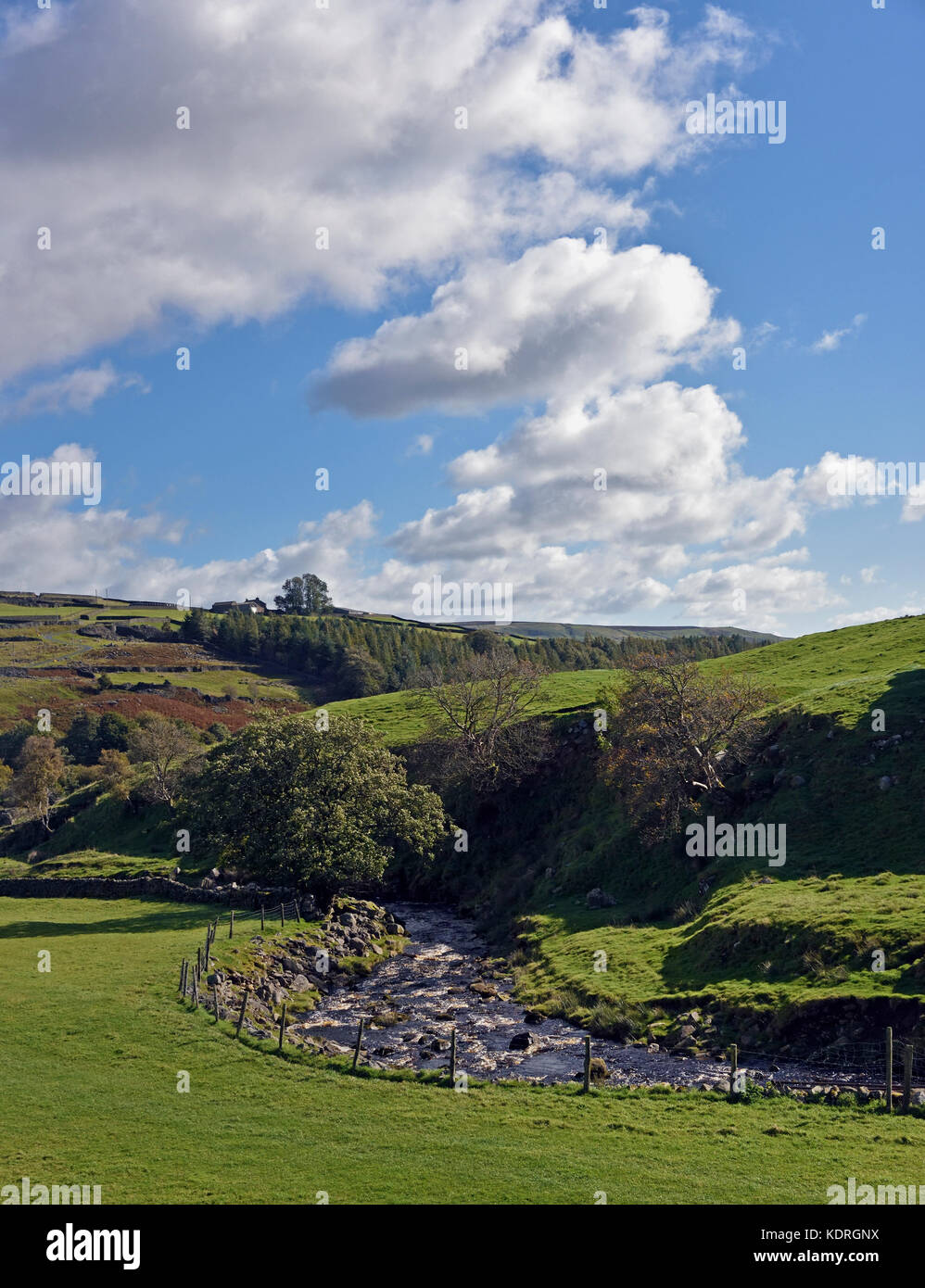 Arkle Beck, Arkengarthdale, Richmondshire, North Yorkshire, England, Vereinigtes Königreich, Europa. Stockfoto