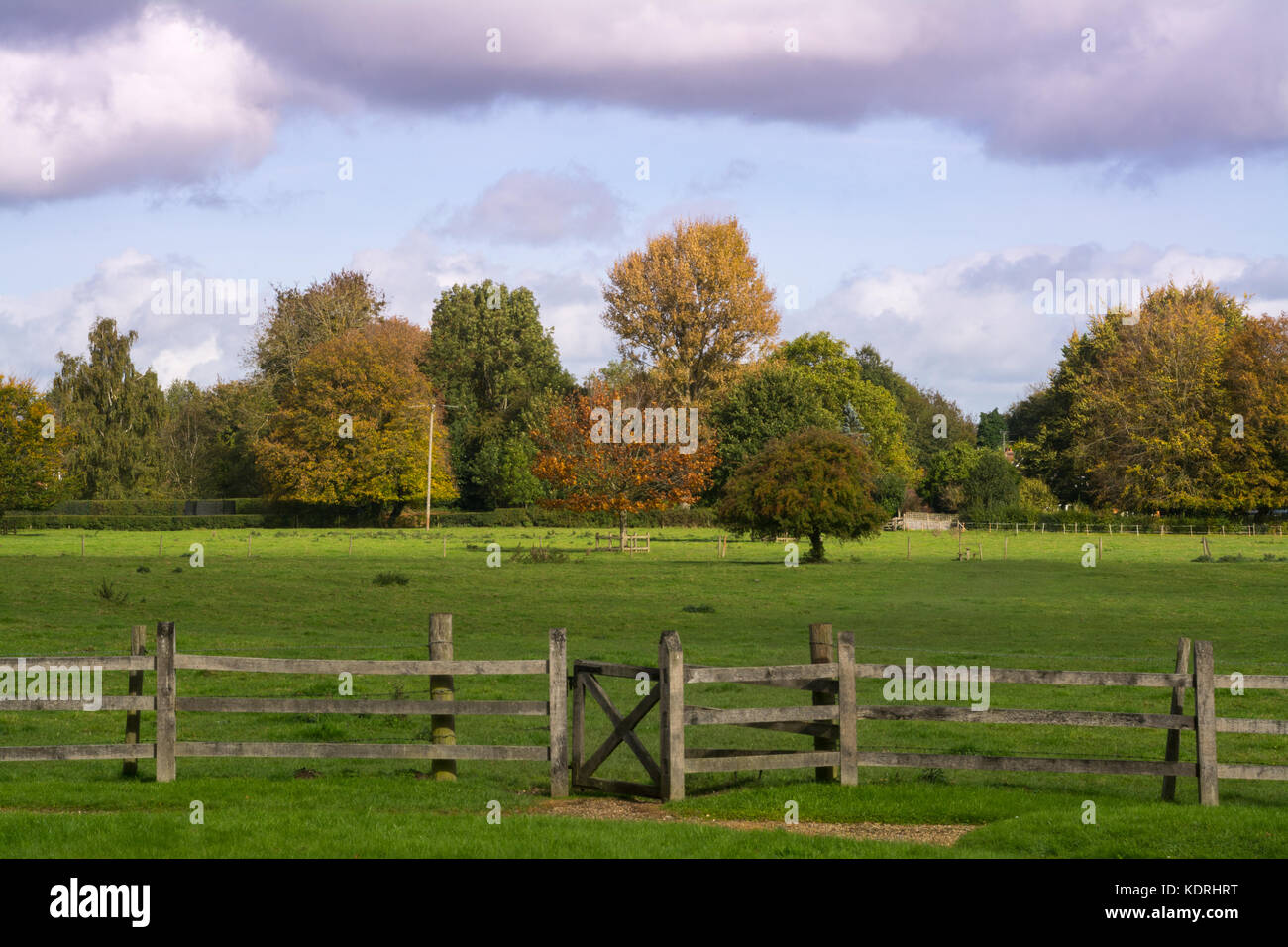 Blick auf Feld und Bäume mit Herbstfarben im Greywell Dorf, Hampshire, Großbritannien Stockfoto