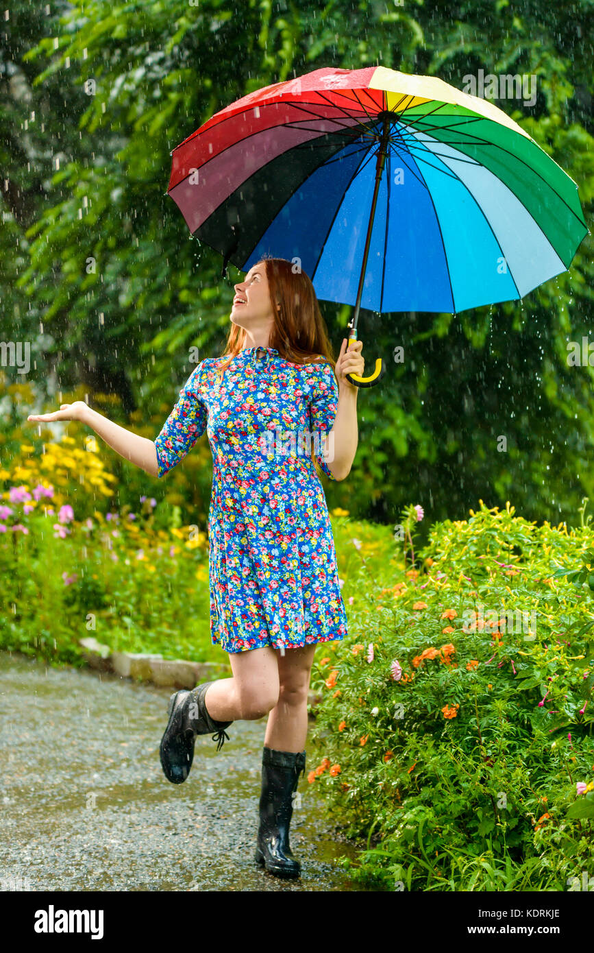 Sommerregen Stockfoto