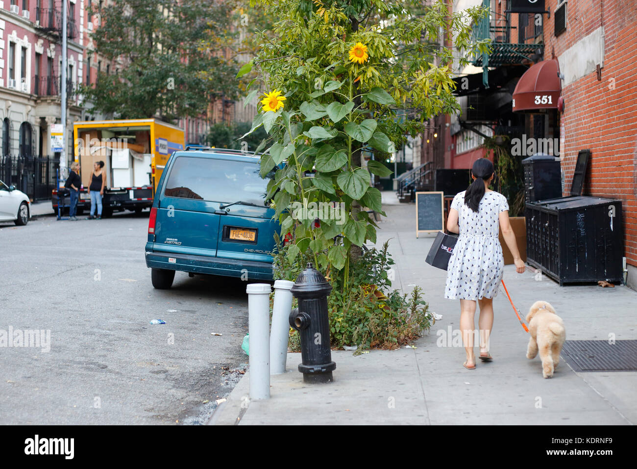 Eine Frau geht mit einem Hund die East 13. St und die First Avenue im East Village-Viertel in Manhattan, New York, NY, entlang Stockfoto