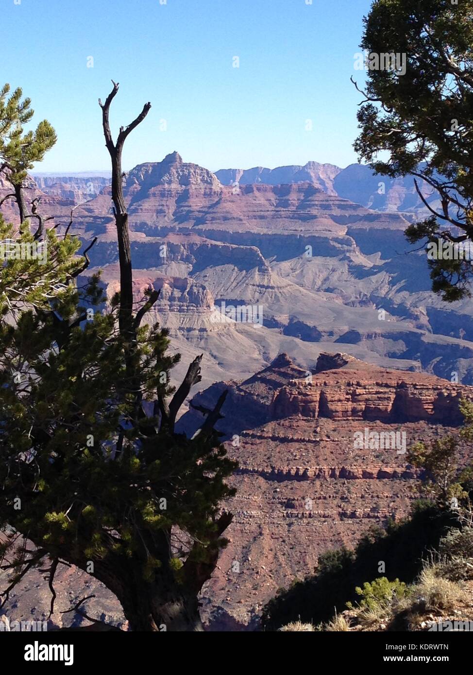 Grand Canyon National Park South Rim atemberaubende Aussicht Stockfoto