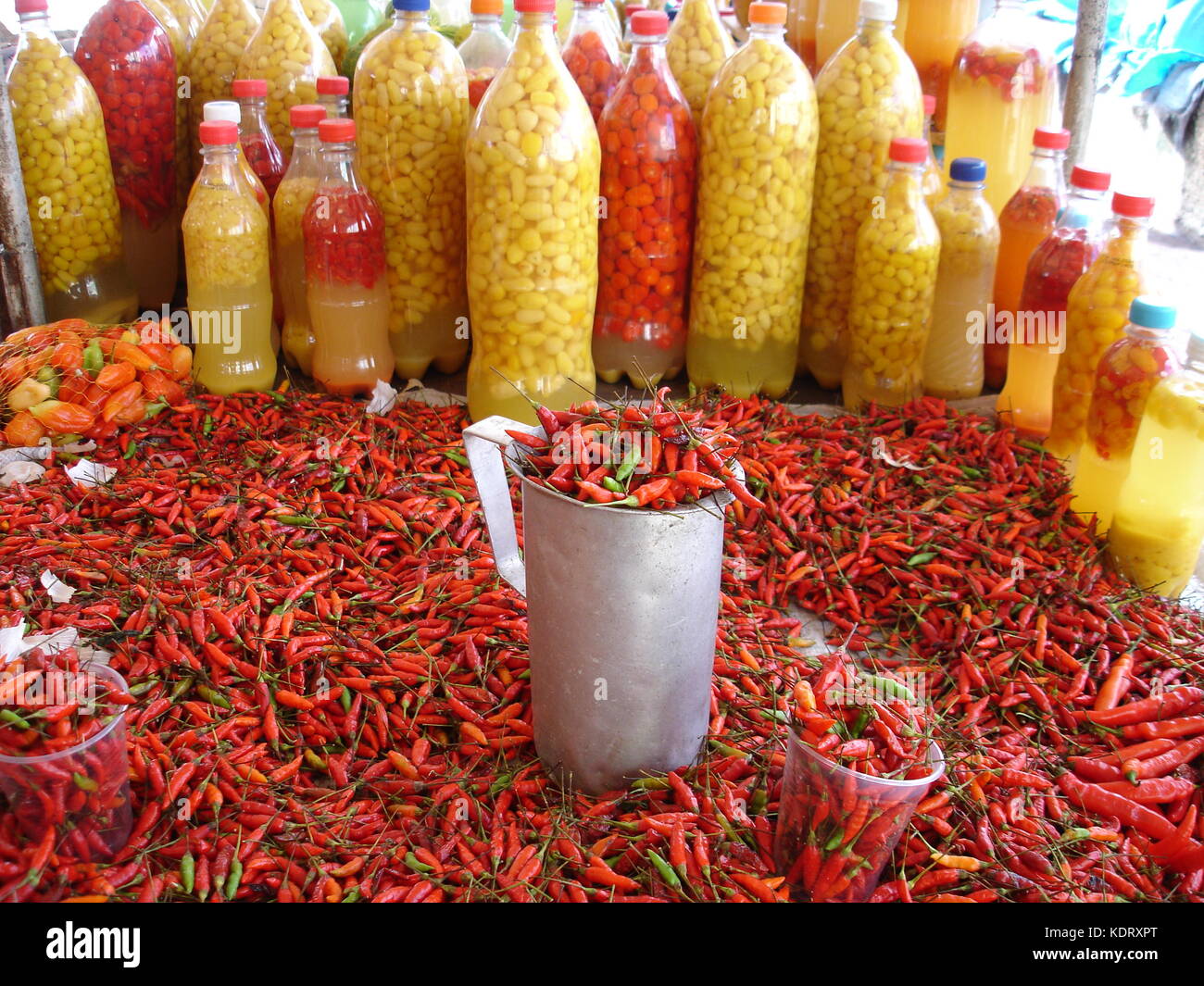 Ver-o-Peso Markt, rote Chilischoten und Flaschen mit Gewürztem tucupi Stockfoto