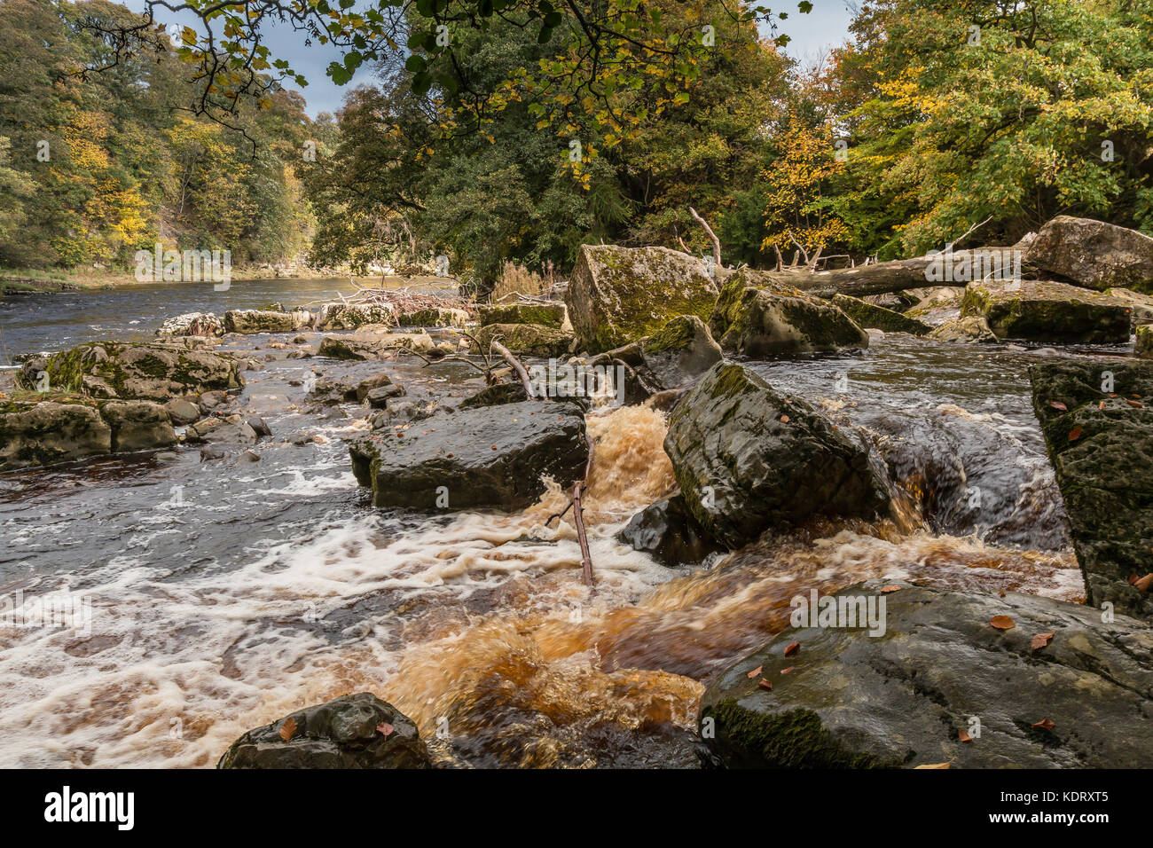 Teesdale Landschaft, die Sitzung der Gewässer - Die confuence der Flüsse Greta und T-Stücken an Rokeby, in der Nähe von Barnard Castle, Großbritannien im Herbst Oktober 2017 Stockfoto