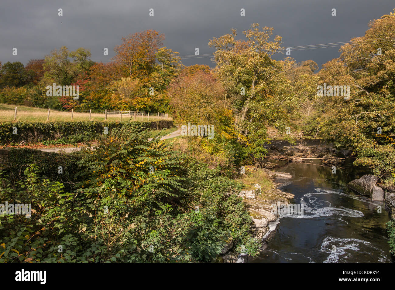 Teesdale Landschaft, die Sitzung der Gewässer - Die confuence der Flüsse Greta und T-Stücken an Rokeby, in der Nähe von Barnard Castle, Großbritannien im Herbst Oktober 2017 Stockfoto