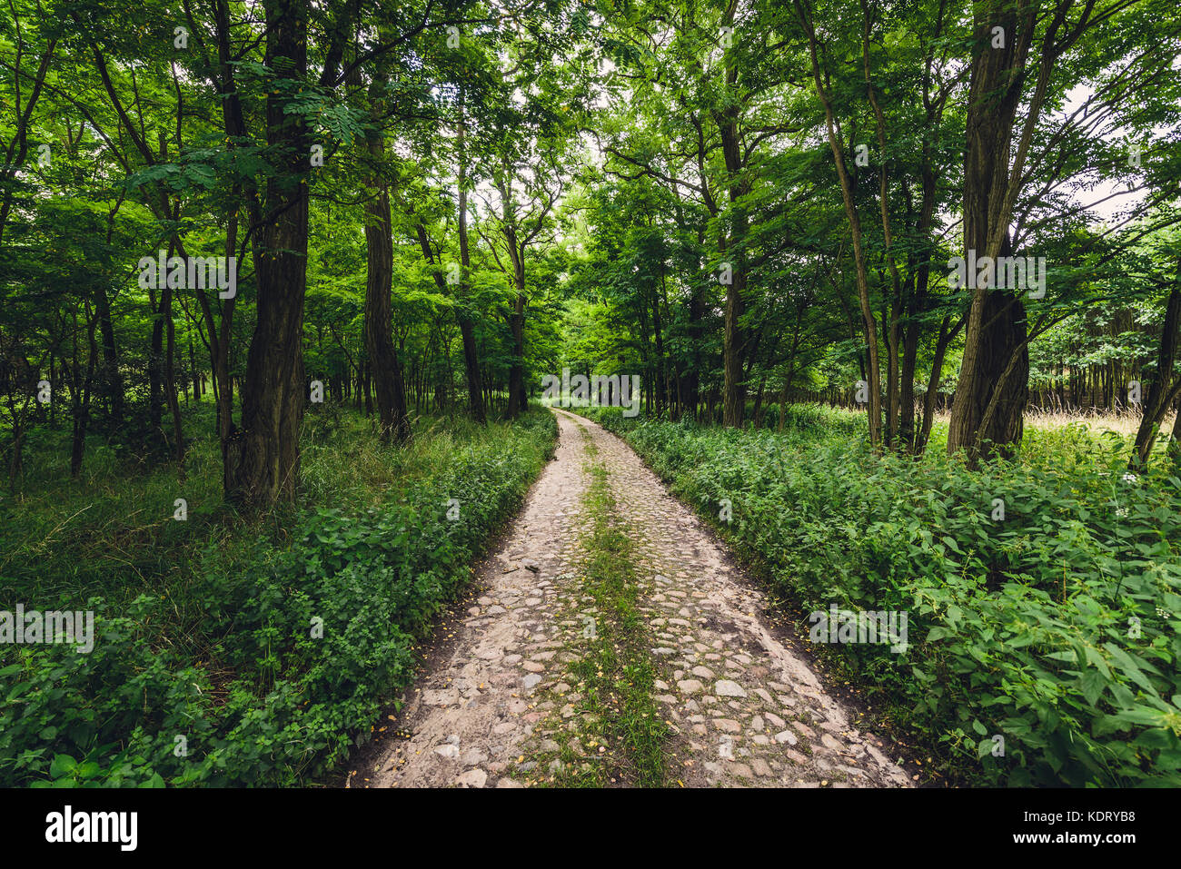 Cedynia Landschaft Park in der Nähe der Stadt Cedynia, Woiwodschaft Westpommern in Polen Stockfoto