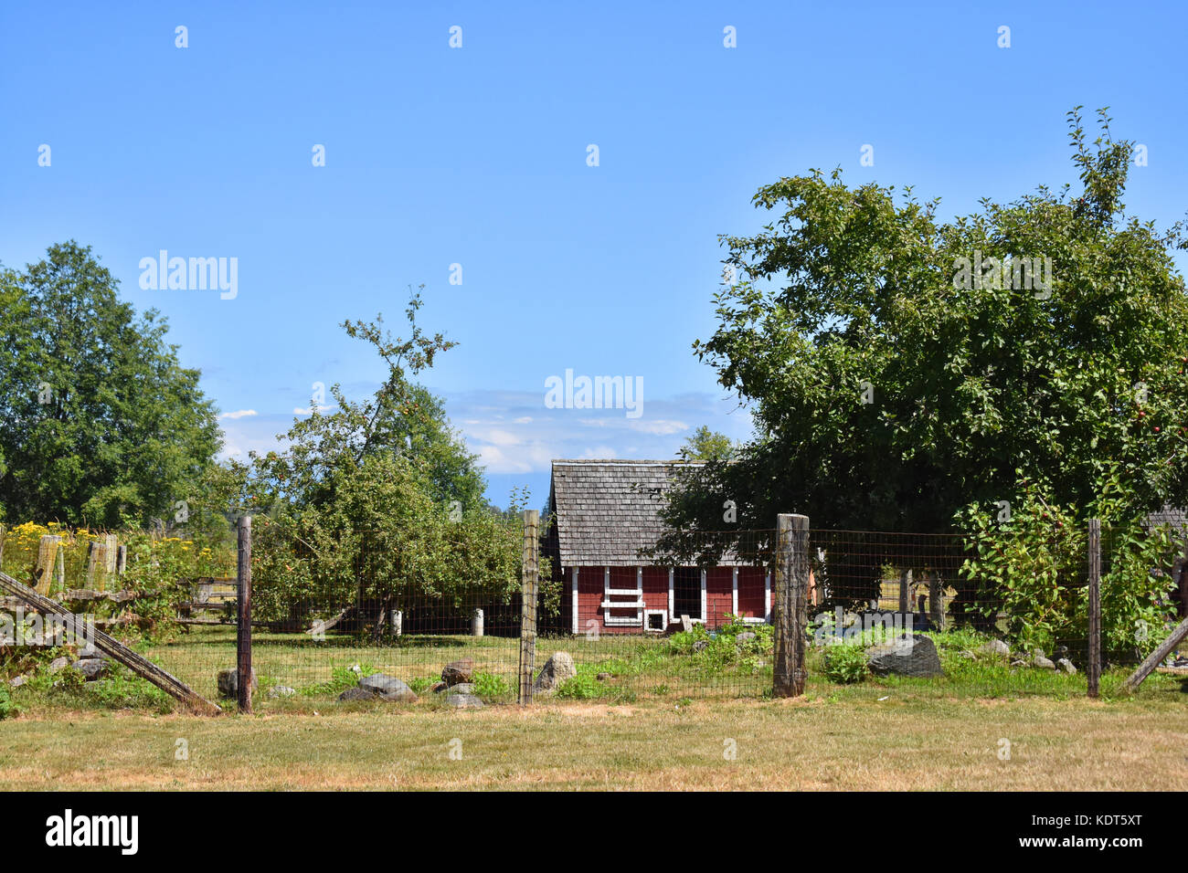 Hühnerstall bei hovander Park in Ferndale, Washington. hovander Park