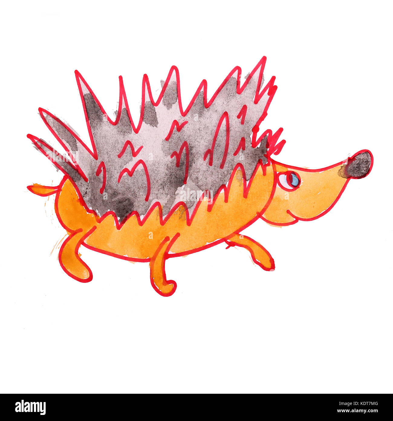 Hedgehog zeichnen Aquarell auf weißem Hintergrund Stockfoto