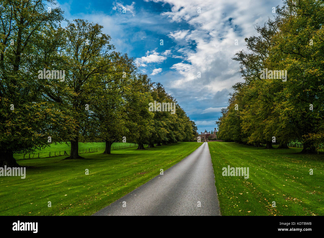 Soughton Hall, Grand Fahrstraße mit einer Reihe von Bäumen. Stockfoto