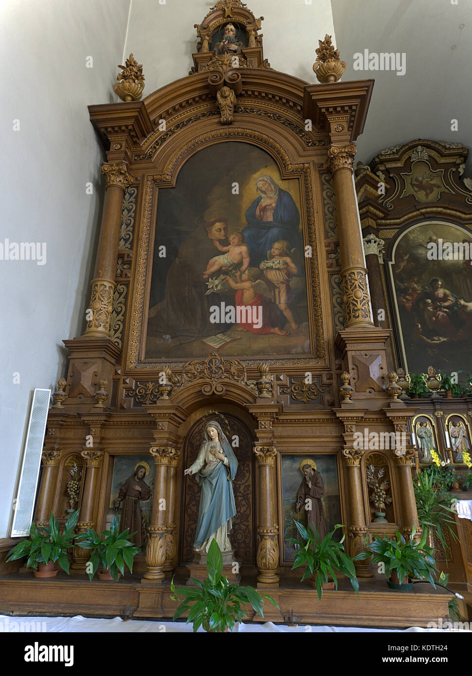 Bressanone Alto Adige Italia. Brixen Südtirol Italien. Innenraum Kapuzinerbruder Kirche, erbaut 1340, aus Holz geschnitzte Altar mit der Malerei. Stockfoto